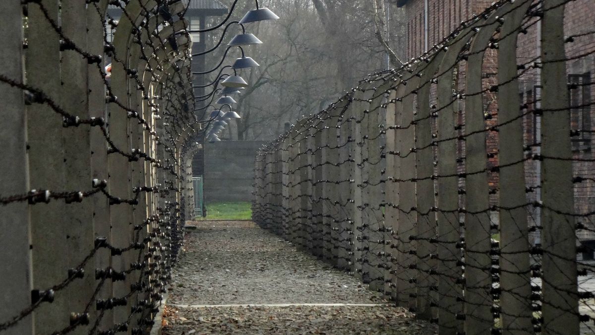 Historická omluva. Nizozemsko podle premiéra neudělalo dost proti holokaustu